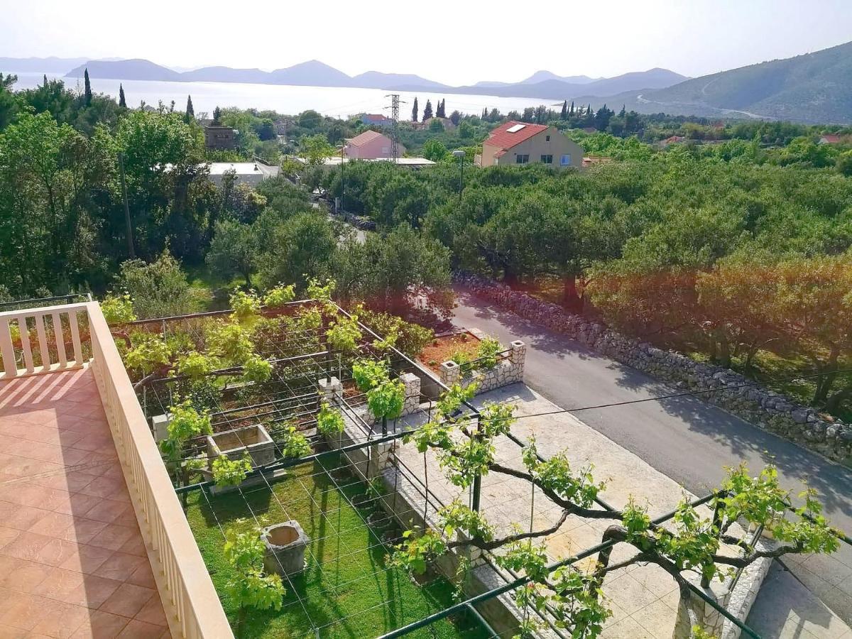 Apartments Kola Banići Екстериор снимка